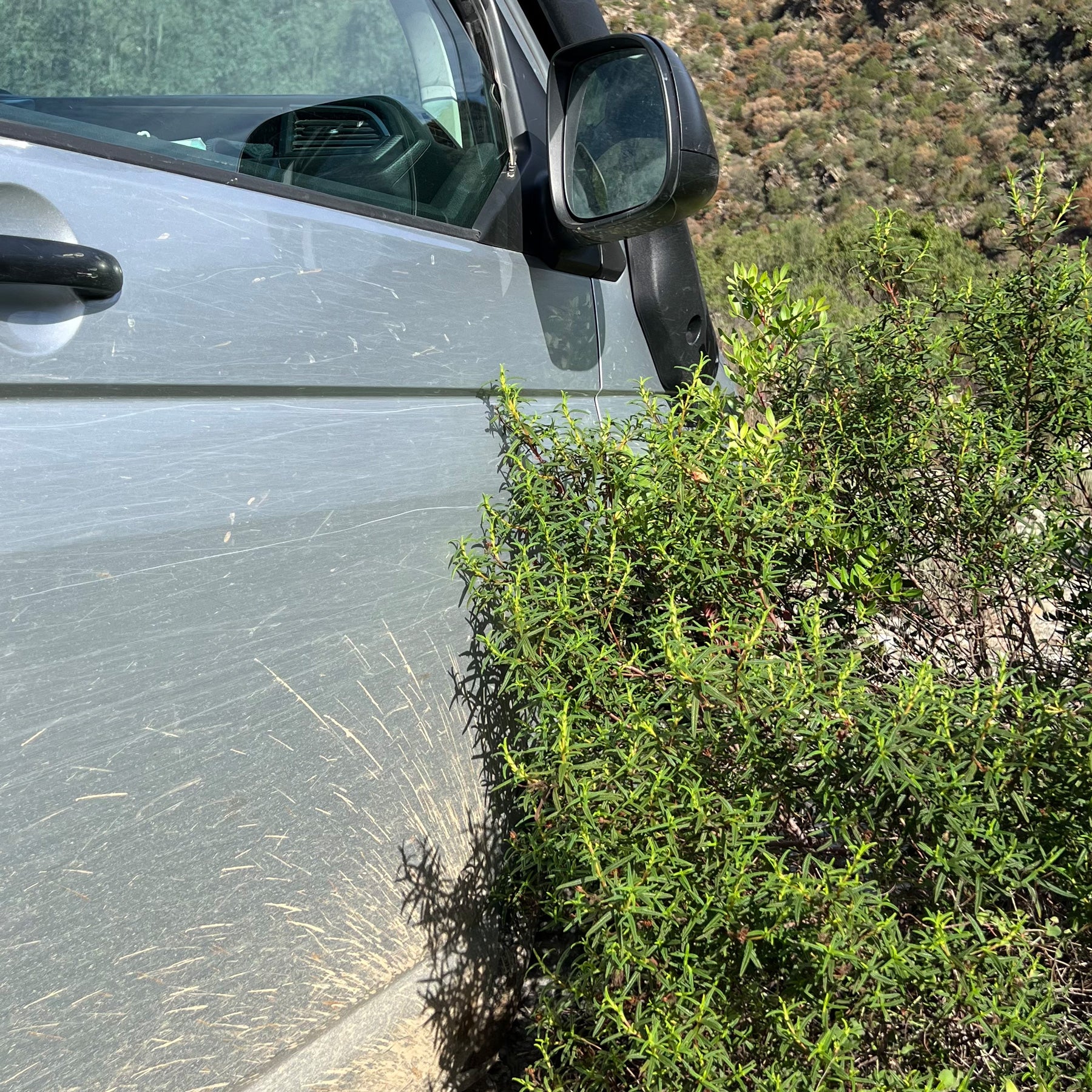 Transparente "Harakiri" Schutzfolie in verschiedenen Design für Overlandtouren VW T5, T6, T6.1