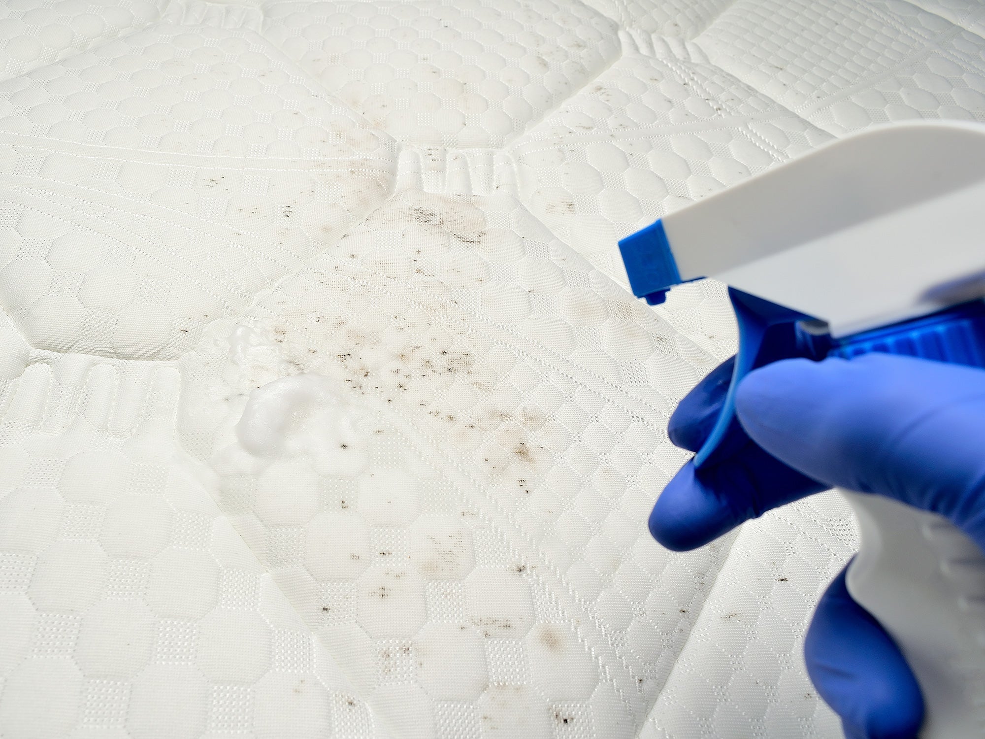 Kondenswasser, Schimmel, Rost im Campervan und VW Bus