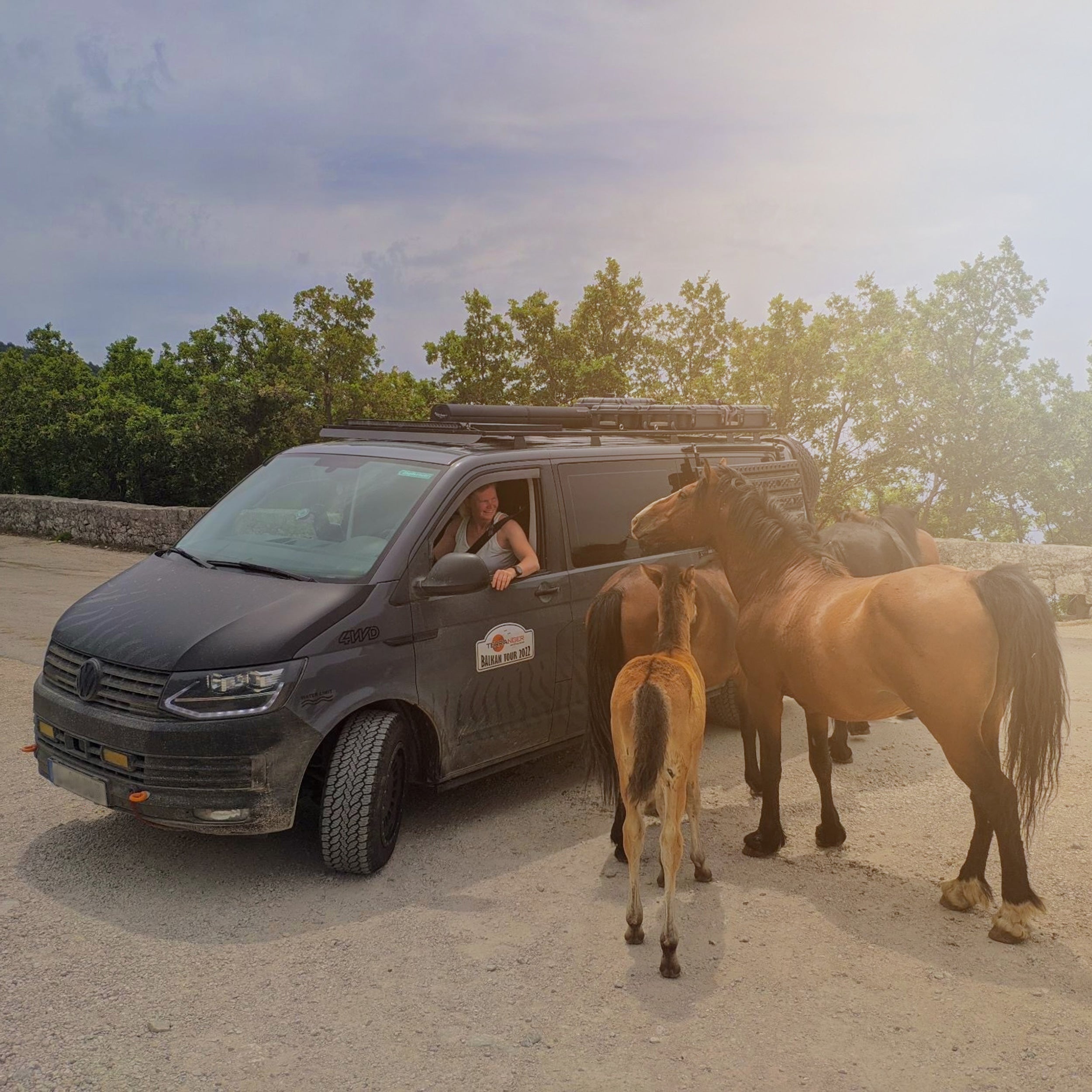 Camper Van Beratung 1:1 – Realtalk zu Fahrzeug-Ausbau & Umbau für deine Overland-Reise (60 Min)